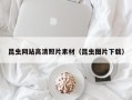 葫芦岛昆虫网站高清照片素材（昆虫图片下载）